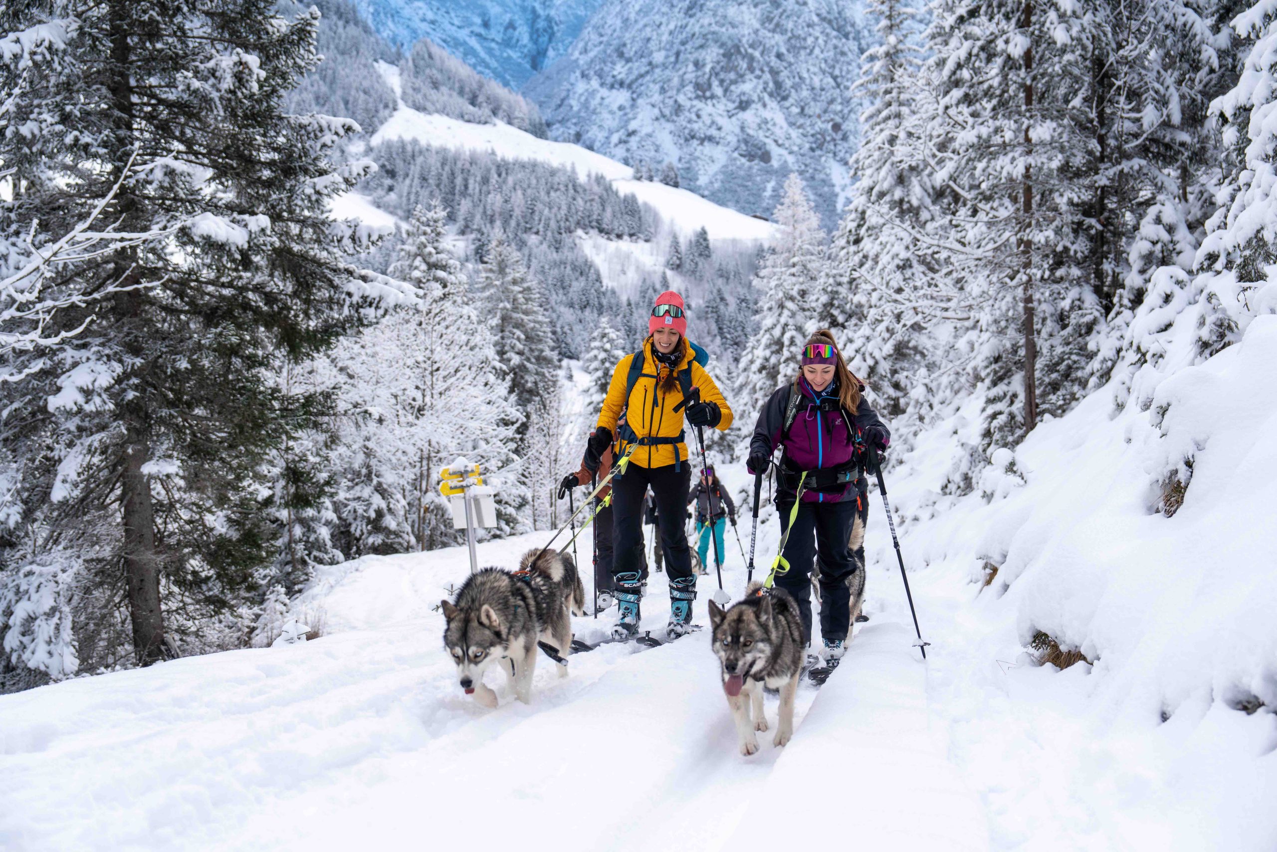 Verbringe ein Skitourenwochende in Gramais und lerne den Umgang mit Huskies näher kennen.