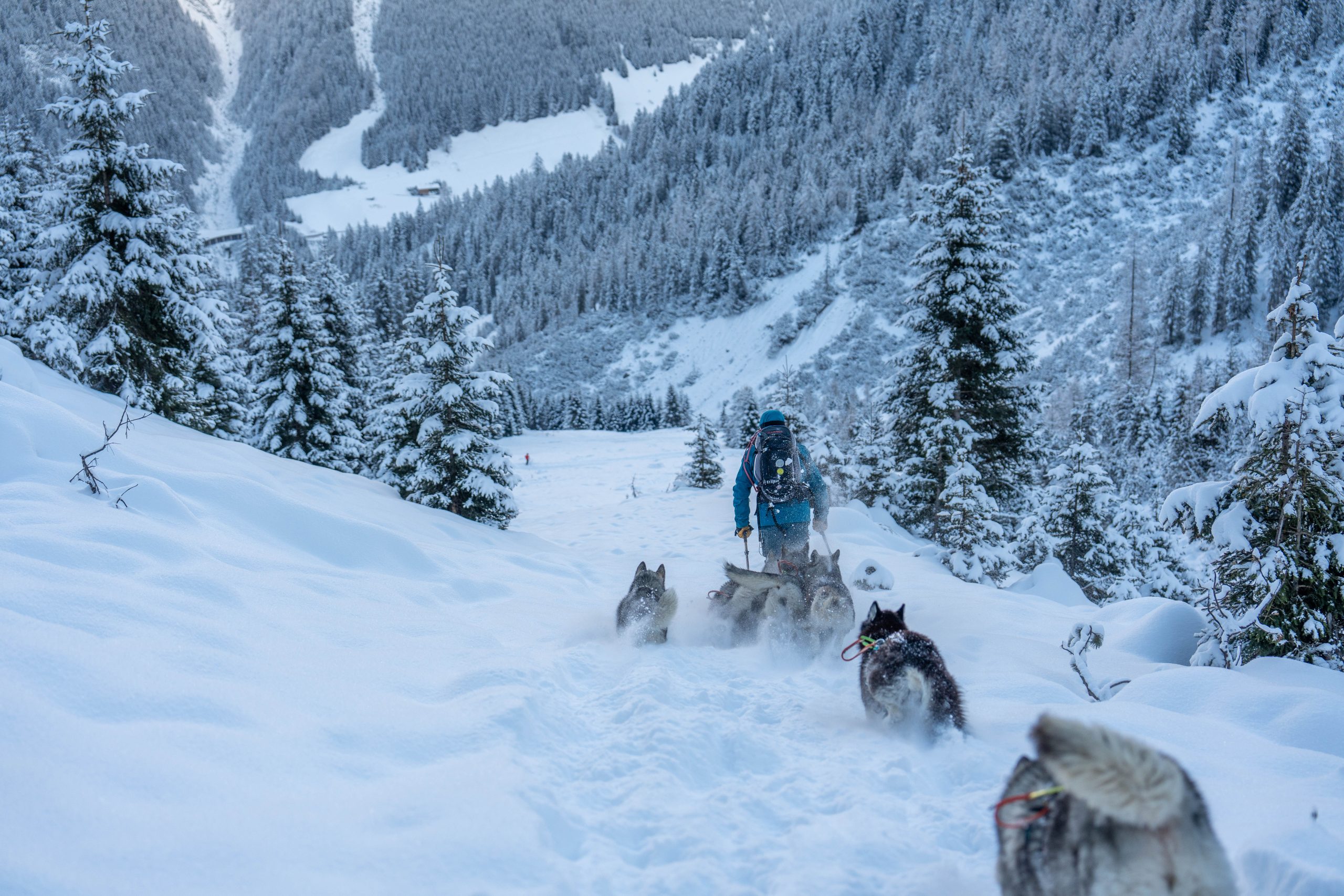 Hubs Lindner beim Ambassadormeeting mit seinen Huskies.