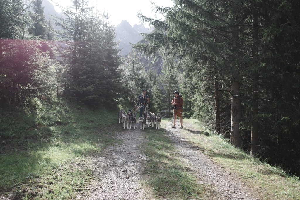 Der Bergführer und Mascher Hubs Lindner im Interview mit Geschäftsführer der HAGAN Ski GesmbH Florian Kollros-Farthofer.